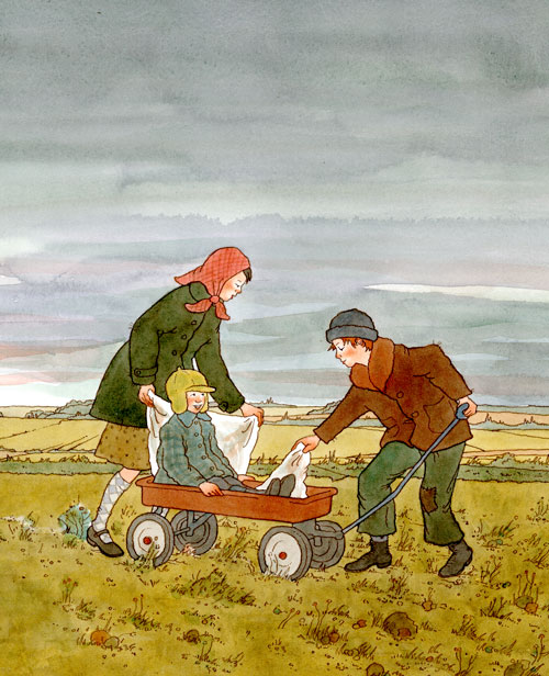 Little Brown Bear by Wendy Watson